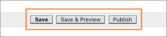 The Save, Save & Preview, and Publish buttons.