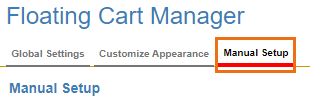 The Manual Setup tab.