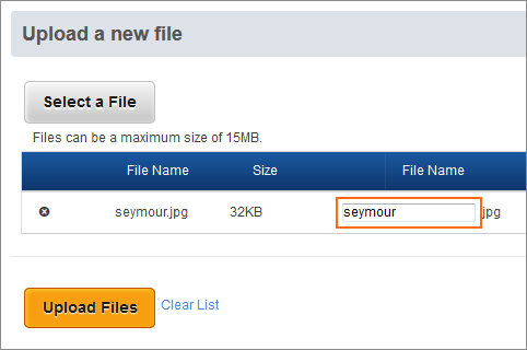 Enter a file name (letters, numbers or hyphens only).