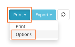 The Print Options link.