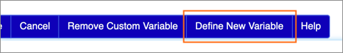 The Define New Variable button.