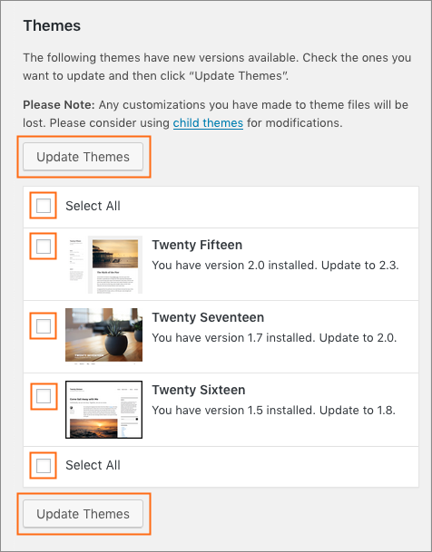 The Themes section on the WordPress Updates page.