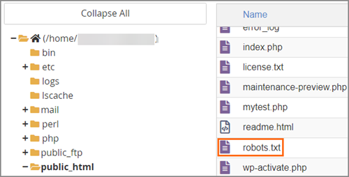 Robots.txt File.