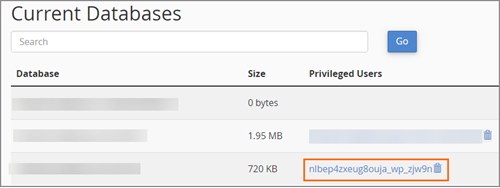 Current Databases Privileged Users.