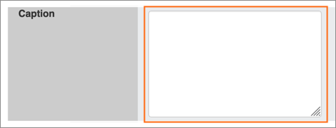 The Caption field.