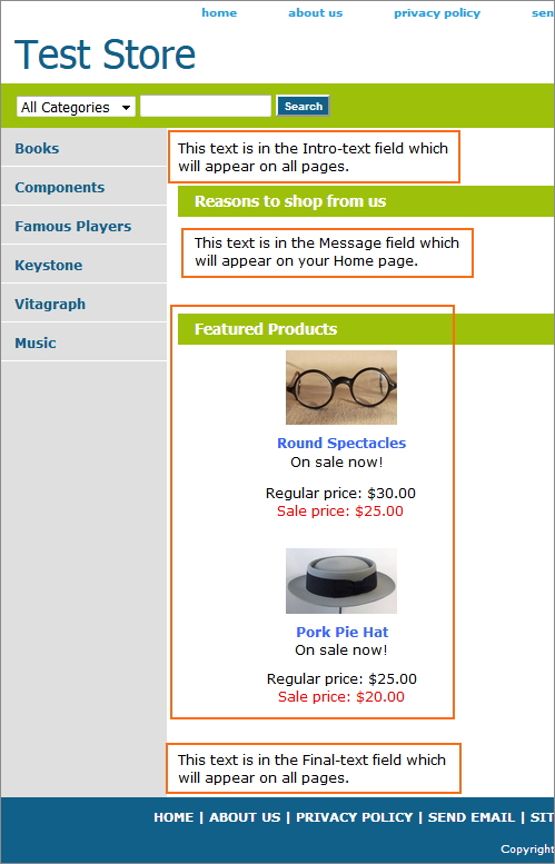 Picture of Store Home Page with Page-elements displayed