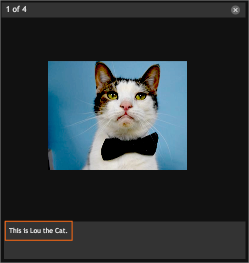 The caption in a slideshow.