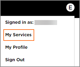 The My Services link in the Domain and Email Control Panel.