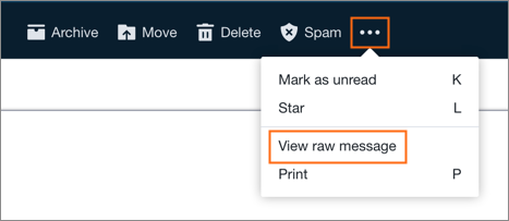 The View Raw Message option.