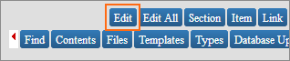 Picture of Store Editor Toolbar Edit button