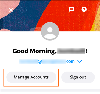 The Manage Accounts button.