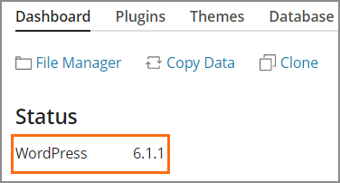 WordPress Version